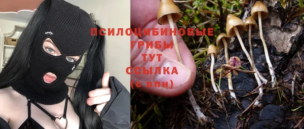 дмт Новодвинск