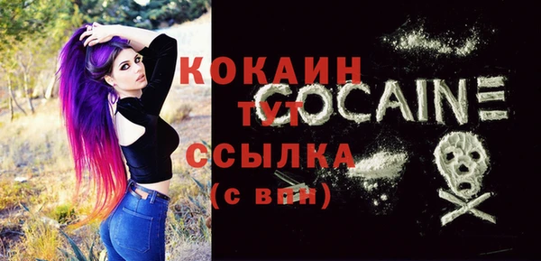 соль курить ск Новозыбков