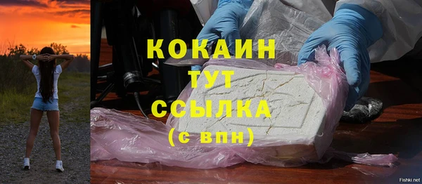 дмт Новодвинск